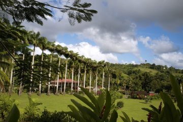 HSE Martinique